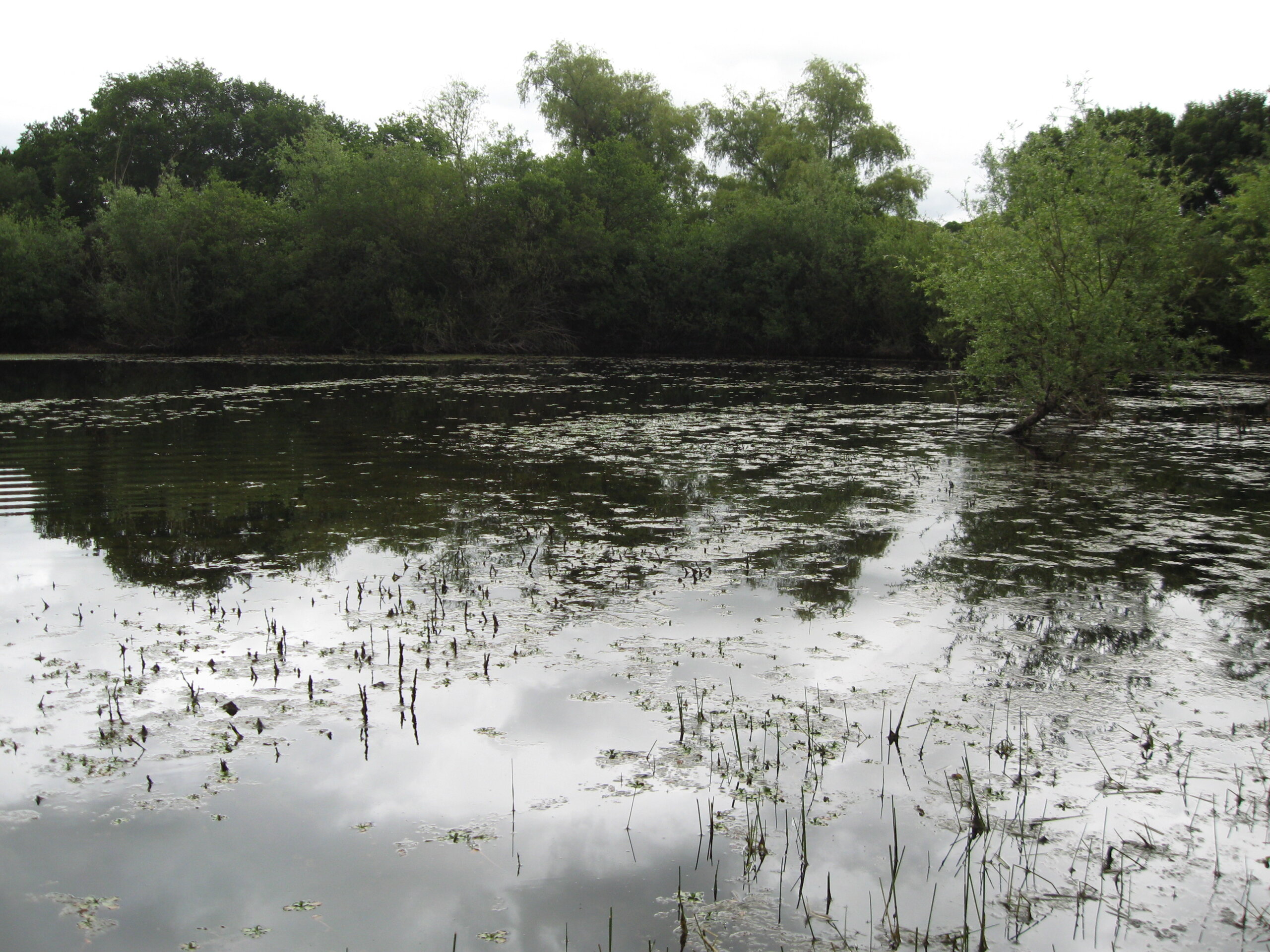 Analyse des PFAS : du ciblé au global