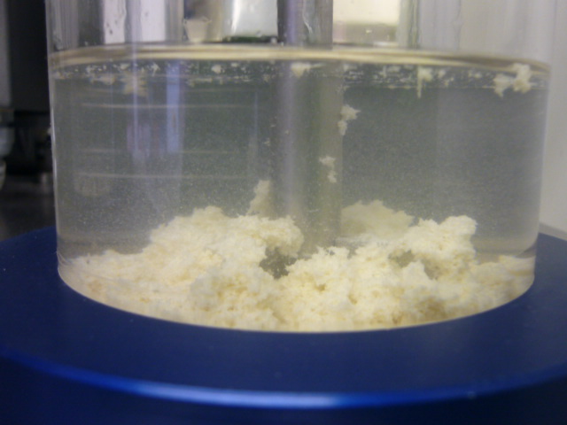 Méthodologie de choix de polymères biosourcés pour la coagulation-floculation de l’eau et des boues