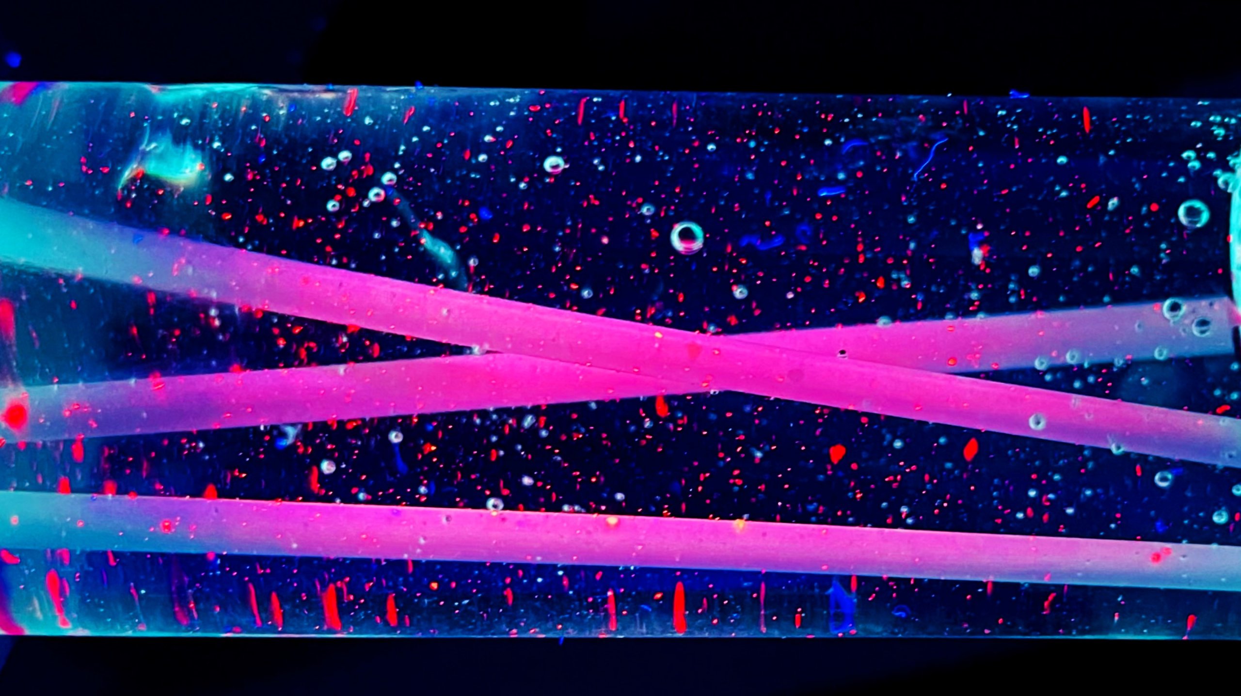 Détection des microplastiques dans les systèmes à fibres creuses par fluorescence et fluorimétrie in situ