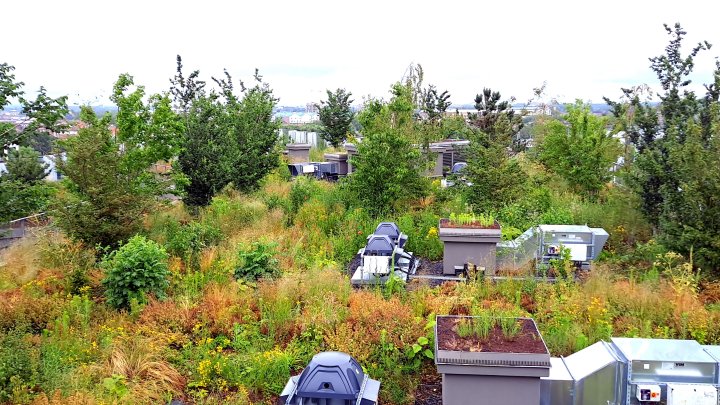 Nature en ville, des outils pour mieux évaluer ses co-bénéfices
