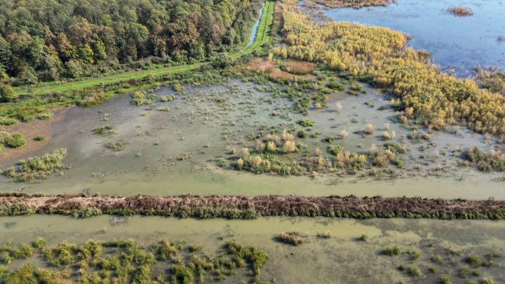 Recensement et suivi des zones humides par imagerie satellitaire et IA : retours d’expérience des projets REAUZOH et EO4Wetlands