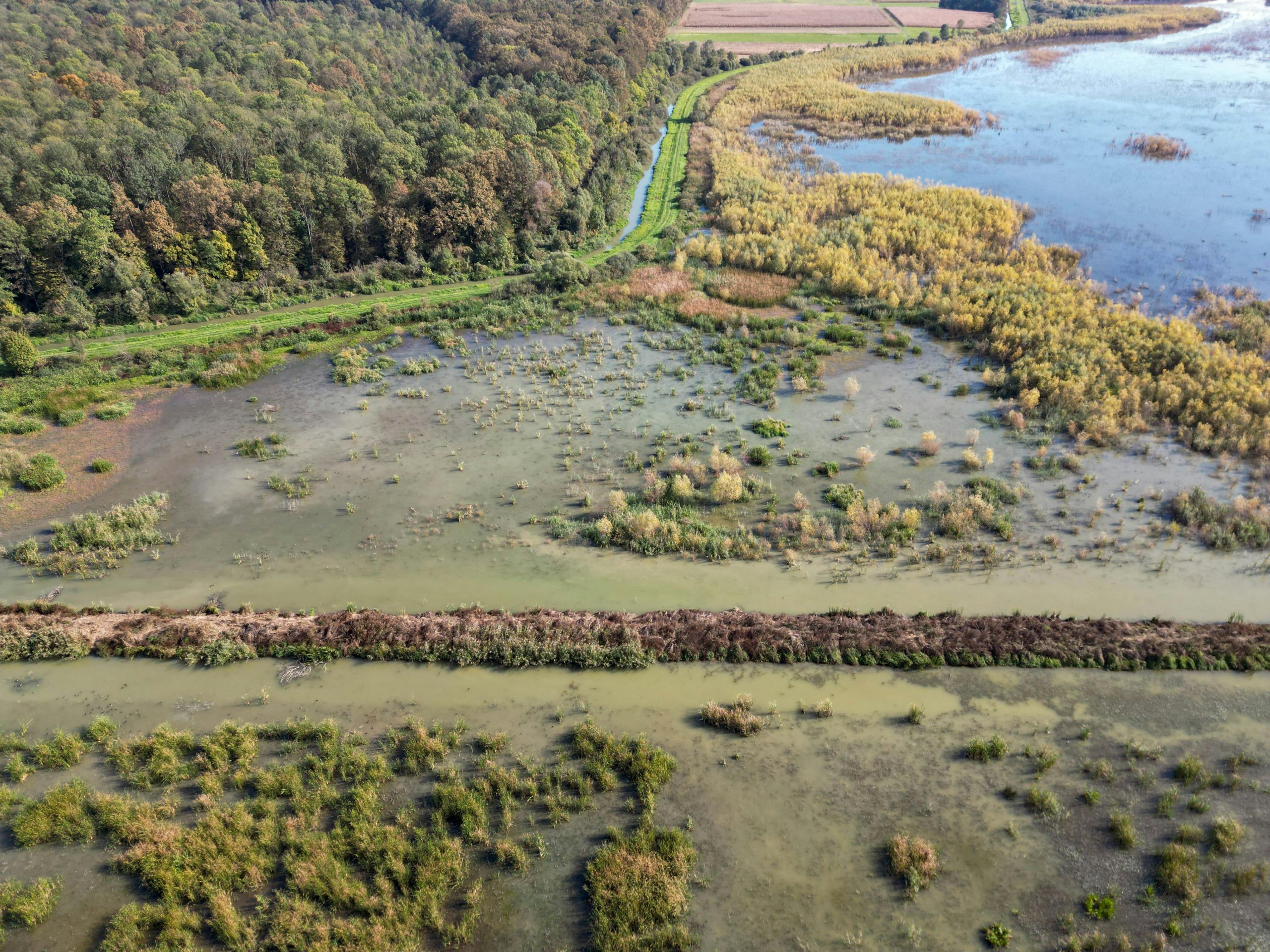 Recensement et suivi des zones humides par imagerie satellitaire et IA : retours d’expérience des projets REAUZOH et EO4Wetlands
