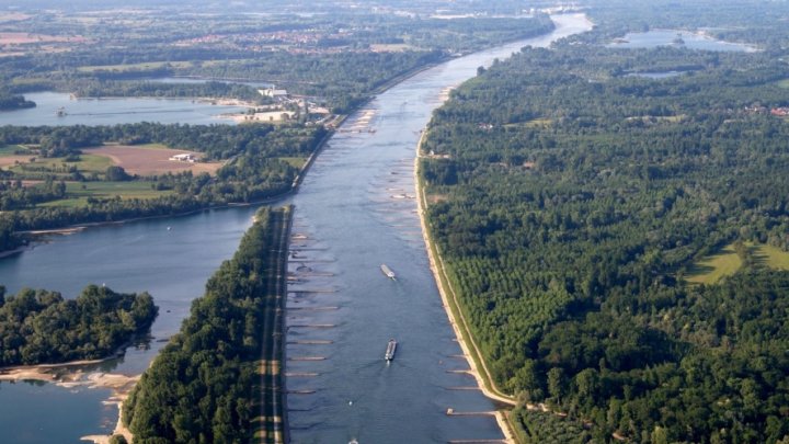 Optimisation des épis pour restaurer la dynamique fluviale du Vieux Rhin