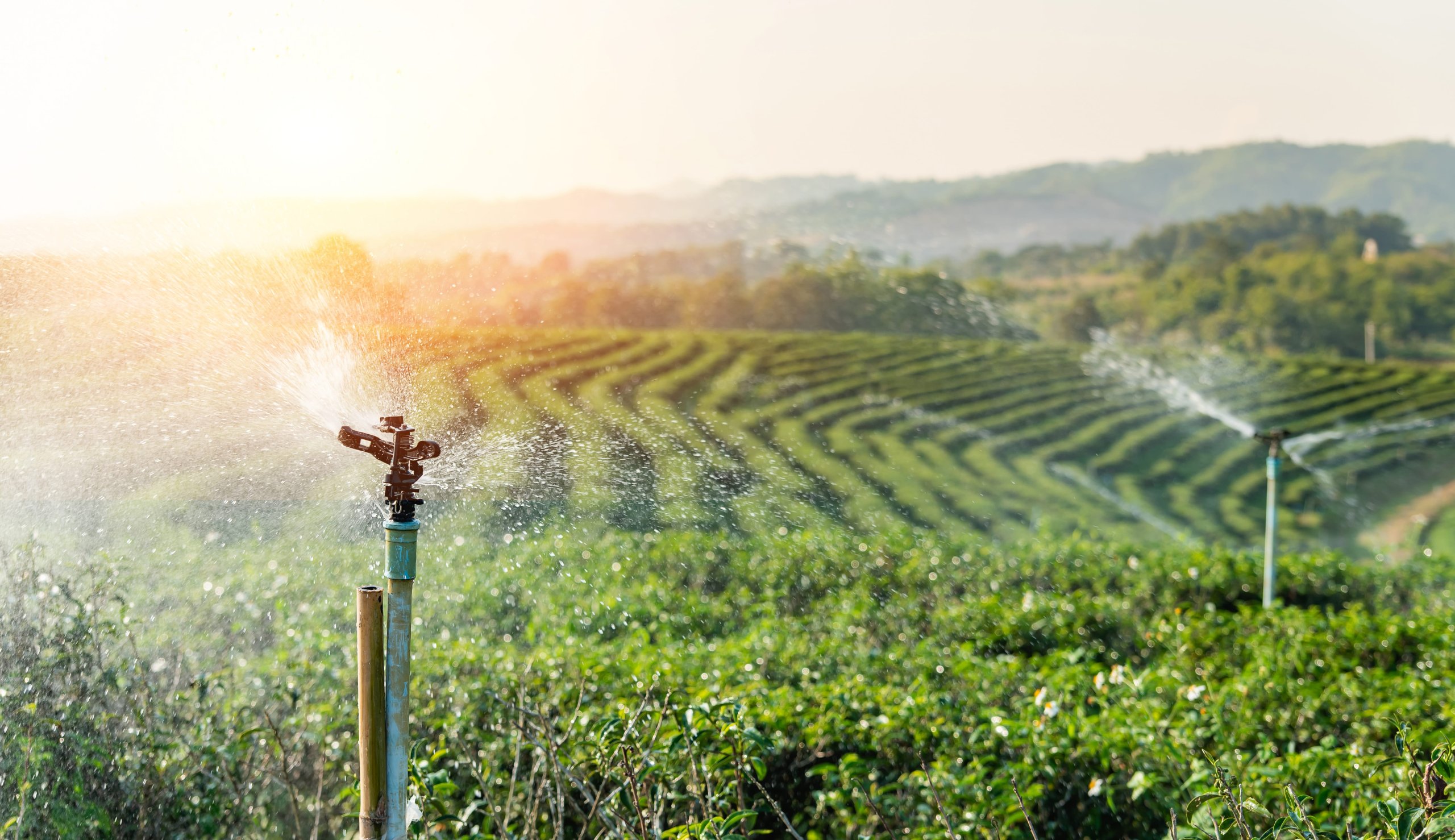 Plan eau : quel bilan après trois ans ?