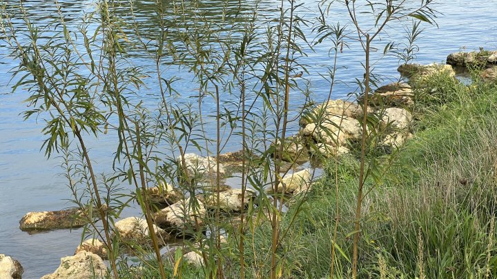 Les berges de Lagny-sur-Marne, un nouveau trait d’union entre ville, eau et nature