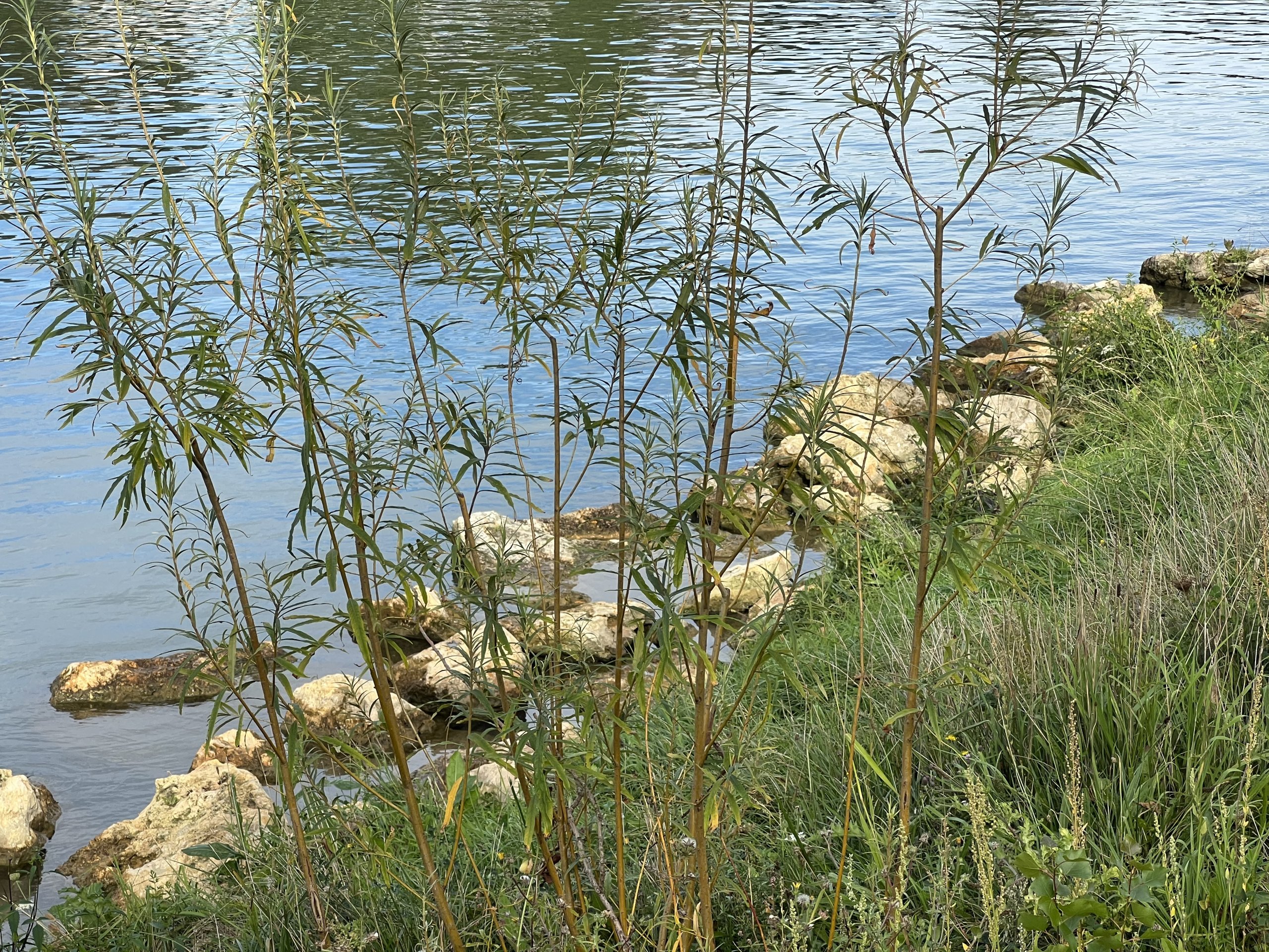 Les berges de Lagny-sur-Marne, un nouveau trait d’union entre ville, eau et nature